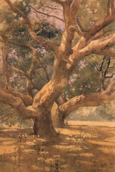 unknow artist Oaks and Shadows